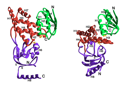 e1_hpr complex