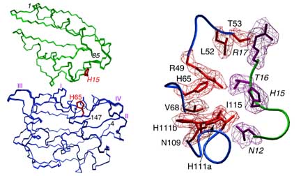 IIAMTl-HPr complex