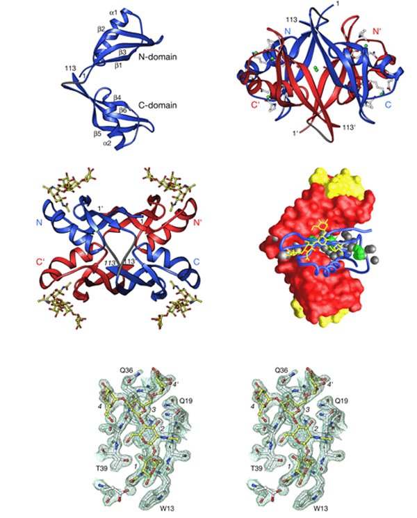 mvl structure