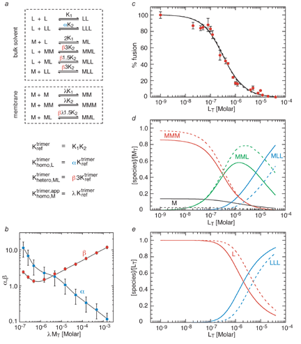 design of gp41 inhibitors