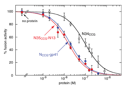 deisgn of gp4 inhibitors