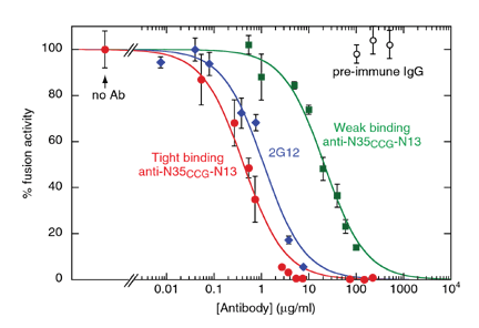 design of gp41 inhibitors
